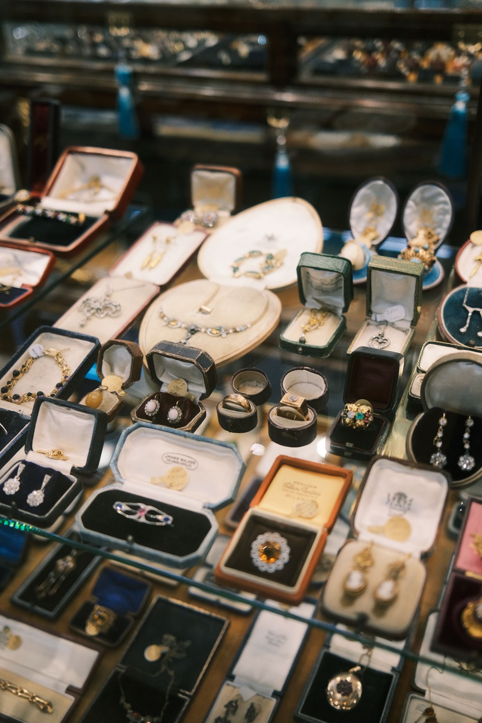 Anillos de oro 18K exhibidos en fila
